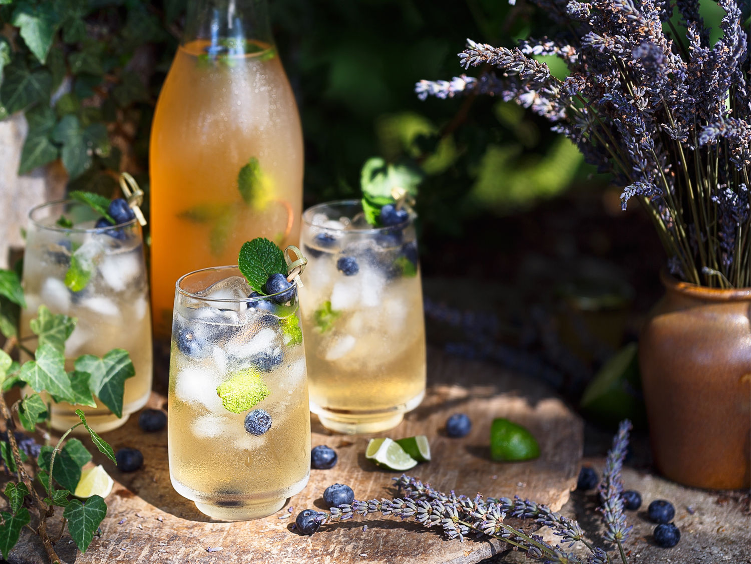 Lavender Paloma